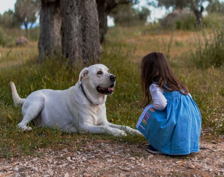 Top 8 Dog Breeds for Families with Kids