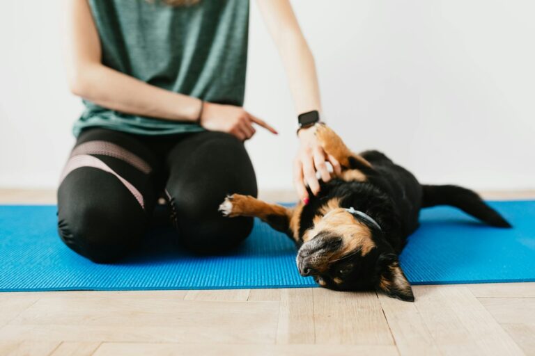 10 Dog Breeds That Require Special Training