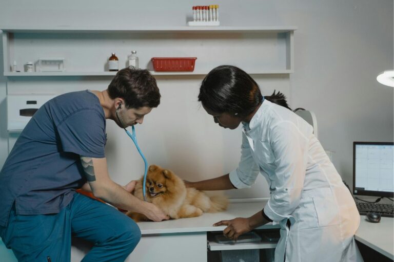 12 Dog Breeds Veterinarians Fear