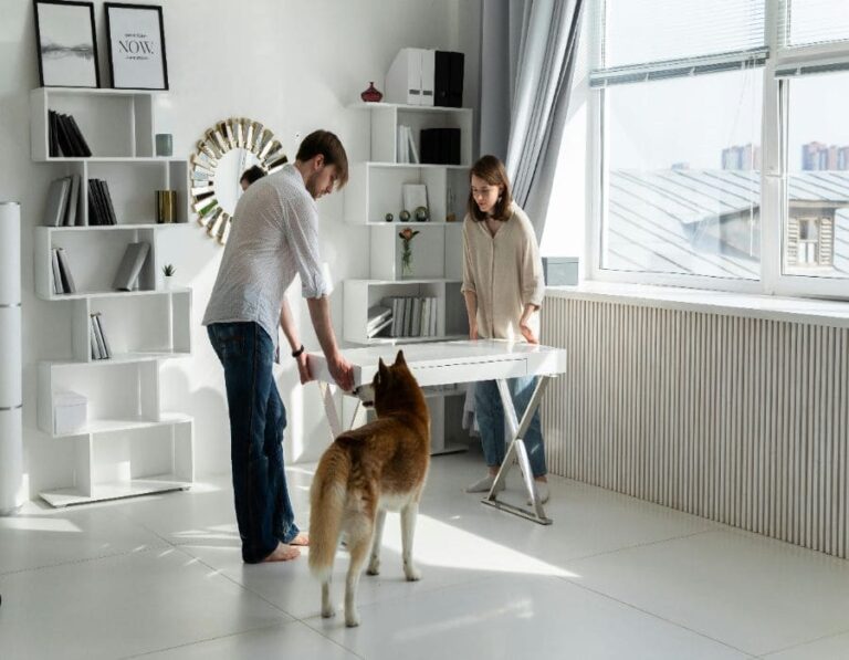 12 Hidden Dangers Lurking In Your Pet-Friendly Home