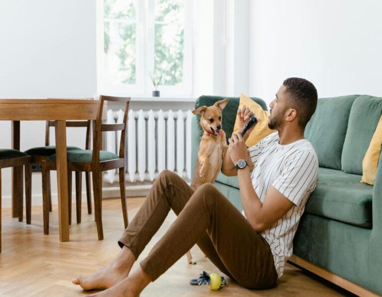14 Clever Ways to Make Your Home More Dog-Friendly