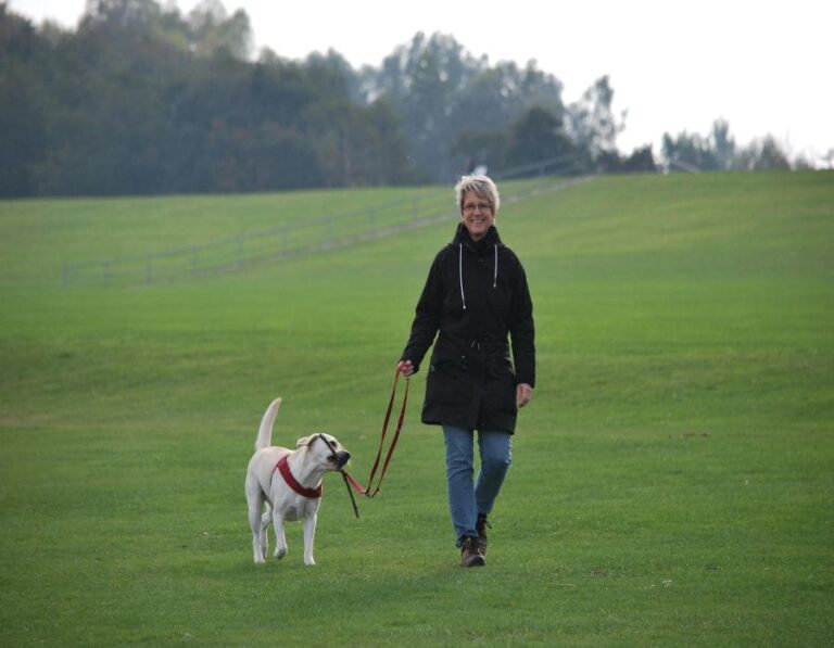 12 Hidden Signs Your Dog Is Under-Exercised