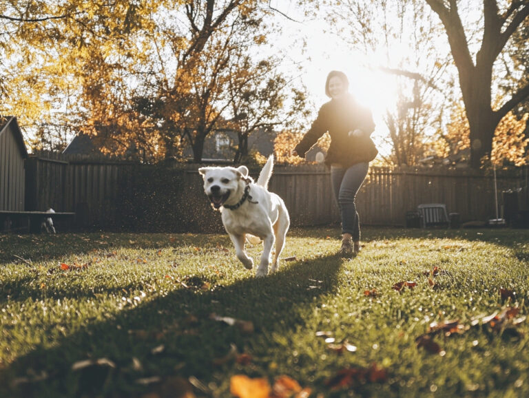 7 Great Methods to Make Your Dog Instantly Love You